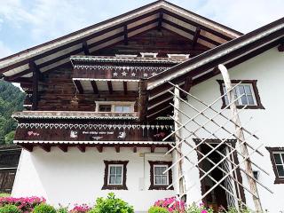 Appartments Limo - Sankt Gallenkirch - 0