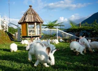 O Châu Homestay Lào Cai - Lào Cai - 2