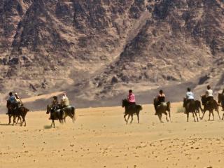 Galaxy nights - Wadi Rum - 2