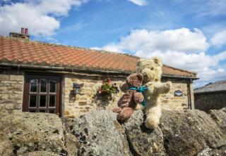 Swallows Nest Holiday Cottage - 3