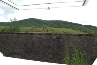 Ferienhaus Mosel Bub - Bruttig-Fankel - 4