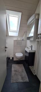 Edel Apartments Dulliken - 5