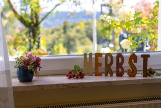 Ferienwohnung Trapp - Winterberg - 1