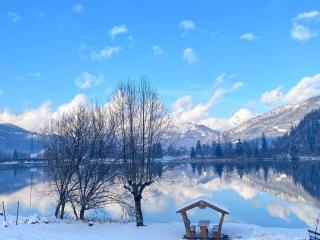 Seegut Steeg am Hallstättersee - 4