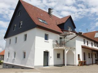 Landgasthof Lamm Ferienwohnungen - Burladingen - 6