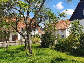 Landgasthof Lamm Ferienwohnungen - Burladingen - 3