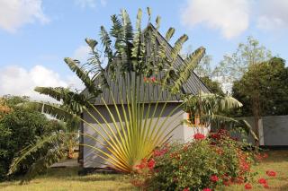 Mapeni Lodge - Kidenge - 5