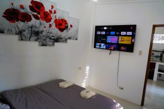 W&B 1 BDR COZY APARTMENT - Panglao Island - 2