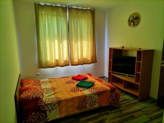 Party House - Tunari - 3