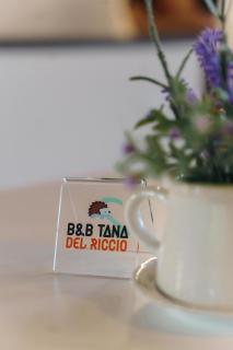 Tana del Riccio - Ortona - 0