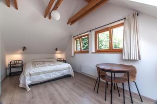 Bohinj Barn - 3