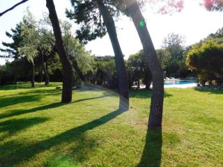Wonderful villa with swimming pool on Albarella - Palazzo Vianello - 4