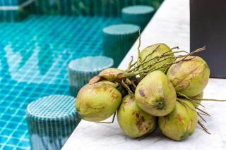 Villa Mango with staff (brand new) - Amphoe Koksamui - 1