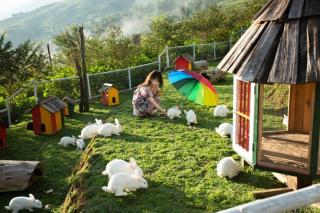 O Châu Homestay Lào Cai - Lào Cai - 3