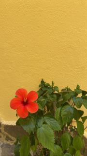 B&B Le Cinque Porte - Fisciano - 9