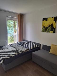 Apartament w Bursztynowych Komnatach - Darlowko - 3