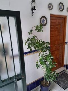 Casa Carmen - 4