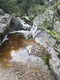Casa Rural Mesa del Lobo Perita - Alcolea del Río - 6