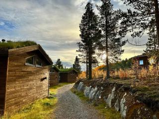 Bjørnfjell Mountain Lodge - 8
