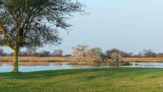 Euphoria Golfers letting House 405 Euphoria golf and life style estate - Naboomspruit - 8