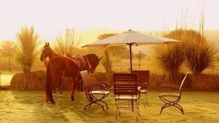 Maa Ashapura Resort - Sawai Madhopur - 8