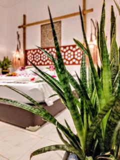 Ocean Cottage Maldives - Thulusdhoo - 1