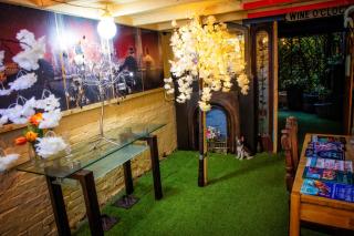 The Secret Garden - Newark upon Trent - 4