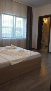 CASA RARES & KARINA - Călimăneşti - 3