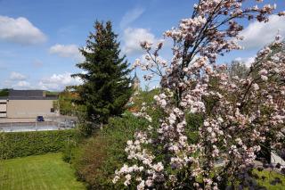 kaulbach5 - Bad Arolsen - 8