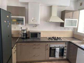 puce appartement - 0