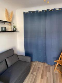 puce appartement - 5