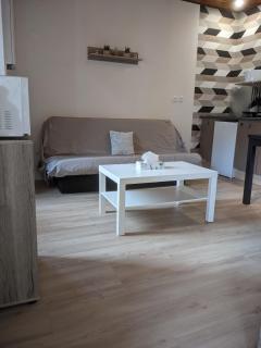 Appartement et salle de jeu - Saint-Claude - 9