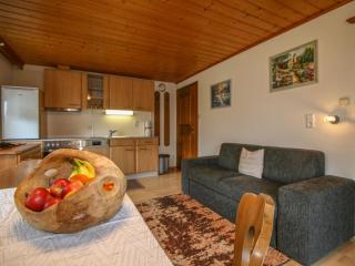 Appartement Neumann - Finkenberg - 9