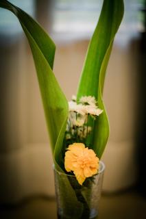 Domiya Estate Ltd - 1