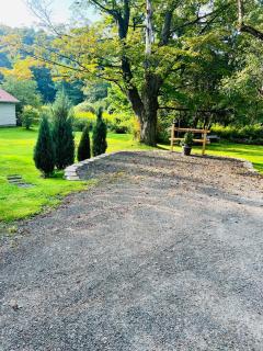 Homesteading at 55 main - 2