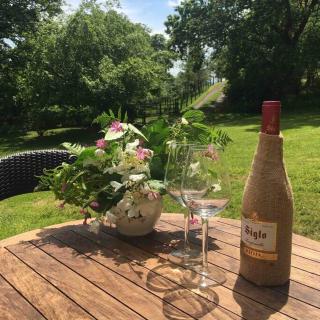 Beautiful Garden Cottage, close to Llandeilo. - 8