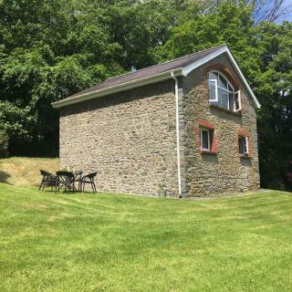 Beautiful Garden Cottage, close to Llandeilo. - Llandeilo - 4