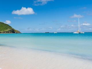 Pelican - Appartement Confort à Anse Marcel - FR-1-734-44 - 7