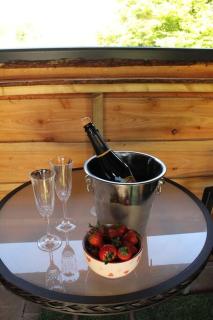 Pembrokeshire Shepherd hut with hottub - Jordanston - 9
