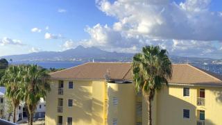 Les Ecrins, Anse Mitan, très beau F2, vue mer, proche plage - Les Trois-Îlets - 9