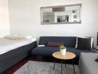 Sweethome Studio 48 City Center Аlbertinkatu - Helsinki - 1