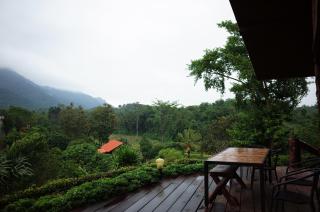 NUYU Khaoyai - Pong Talong - 4