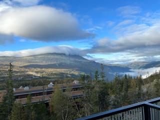 Astonishing Mountain Lodge at the top of Gaustablikk, 25m2 west facing terrace, 3 bedrooms - Gaustablikk - 4