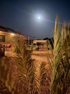 Moon Night Camp - Wadi Rum - 4