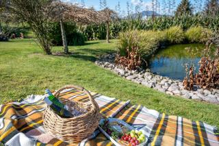 Mountviews Lodge - 3