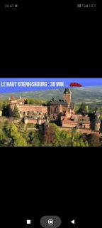 Refuge Ladhof Odysalis I Chic-Moderne-Proche du centre-ville 3 pieces 2 Chambres - Colmar - 1