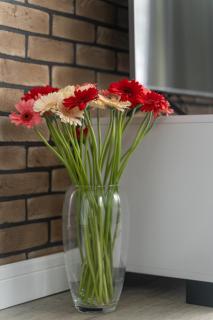 Apartament Doris 1 z pięknym widokiem - 6