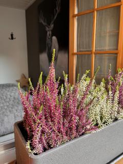 Chalet Apartment Serenity Lodge - Charmey - 5
