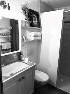Chalet Apartment Serenity Lodge - Charmey - 3