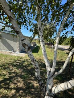 Apartments Airport Golubovci - 2